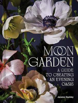 20230120 Kate Jordan Chronicle Moon Garden cover