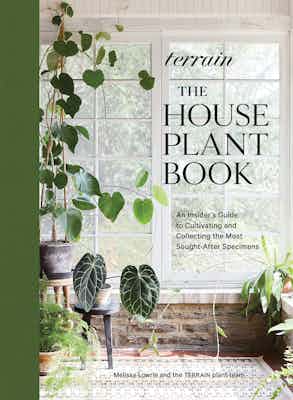 Kate Jordan Photographer Terrain Houseplant Book