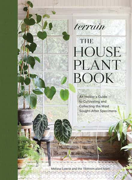 Kate Jordan Photographer Terrain Houseplant Book