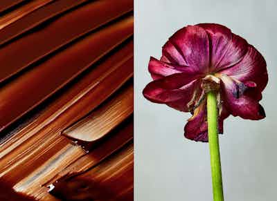 Louise hagger personal food luxury chocolate flower dps
