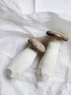 Louise hagger pw White Food mushroom 2