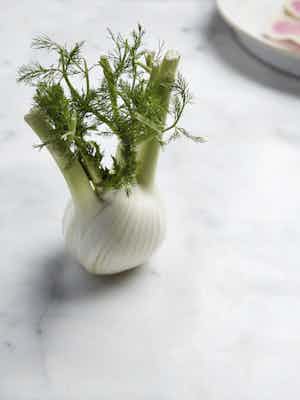 Louise hagger pw White Food salad fennel