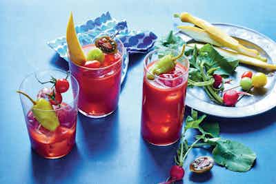 VGS Victoria Granof Watermelon Red Birds Bloody Mary 0711